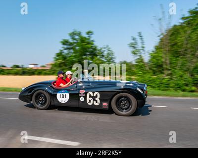 1950 JAGUAR XK120 OTS ROADSTER, mille Miglia 2023, jour 4 à Piacenza, Emilie Romagne Banque D'Images