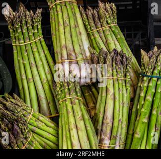 Asperges vertes en grappes d'un marché italien Banque D'Images