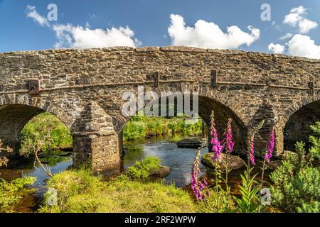 Steinbrücke über den East Dart River in Postbridge, Dartmoor, Devon, Angleterre, Großbritannien, Europa | Pont de pierre sur la rivière East DART Postbridge Banque D'Images