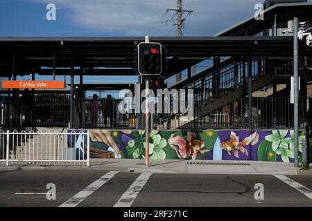 Goldfish & Flowers murale décore un mur bas à l'entrée de la gare de Canley Vale, quelque chose de beau contre des couches de clôtures et de balustrades Banque D'Images