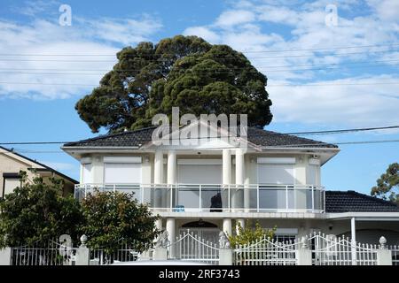 Une grande maison blanche moderne de deux étages McMansion avec un feuillage d'arbre haut derrière ressemblant à des cheveux Banque D'Images