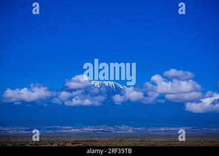 Mont Kilimanjaro volcan dormant en République-Unie de Tanzanie Kibo Mawenzi Shira sommets les plus élevés le Kilimanjaro est le nom de la plus haute montagne Banque D'Images