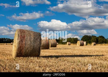 une balle de paille de blé sur un champ agricole 2188795 Photo de