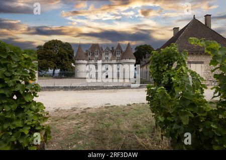 Château de Monbazillac (Chateau de Monbazillac) avec vignoble, département de Dordogne, Aquitaine, France Banque D'Images