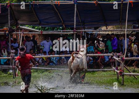 Kolkata, Inde. 30 juillet 2023. Chaque année, le village de Herobhanga au Bengale occidental organise le festival de courses de bétail Moichara, marquant l'arrivée de la mousson. Elle est généralement célébrée à la mi-juin ou au début juillet, juste au moment où les agriculteurs locaux commencent à cultiver leurs terres. (Photo de Sudip Chanda/Pacific Press) crédit : Pacific Press Media production Corp./Alamy Live News Banque D'Images