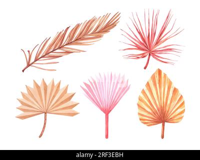 Ensemble de feuilles de palmier tropicales séchées. Collection isolée de modèle floral aquarelle pastel pour couronne de mariage, cadres de bouquet, éléments de conception de décoration. Banque D'Images