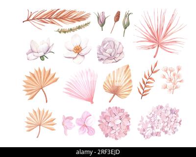Set rose rose, hortensia, feuilles de palmier tropicales séchées. Collection isolée de modèle de fleurs d'aquarelle pastel pour couronne de mariage, cadres de bouquet Banque D'Images