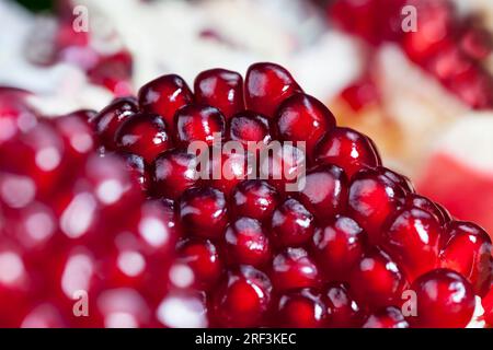 grenade rouge et mûre avec des grains juteux, grenade délicieuse et saine divisée en plusieurs parties, grenade aux fruits en gros plan Banque D'Images