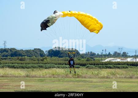 Vue imprenable sur un parachutiste avec un parachute jaune atterrissant sur une pelouse verte pendant une journée ensoleillée. Banque D'Images