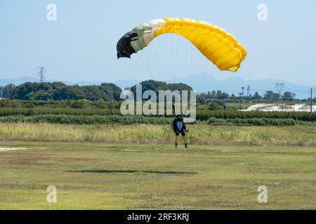 Vue imprenable sur un parachutiste avec un parachute jaune atterrissant sur une pelouse verte pendant une journée ensoleillée. Banque D'Images