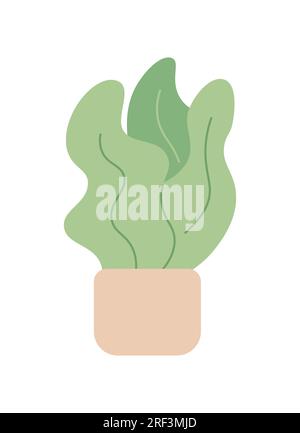 Plante de maison décorative dans un pot en céramique objet vectoriel de couleur semi-plat Illustration de Vecteur