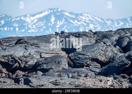 Variété de formes de lave solidifiée basaltique : lave discoïdale, lave visqueuse, gâteau. Kamchatka Banque D'Images