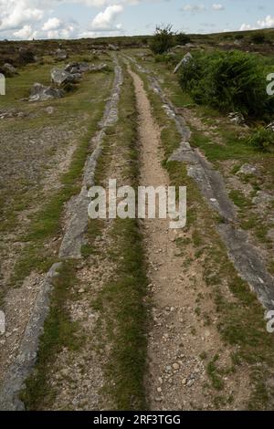 Dartmoor Granite Railway, Haytor, Dartmoor, Devon, Royaume-Uni Banque D'Images