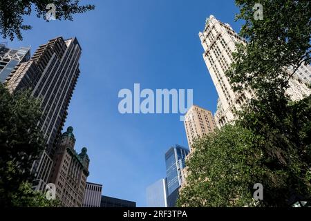 Vue de Lower Manhattan depuis le City Hall Park situé dans le quartier Civic Center entre Broadway, Park Row et Chambers Street, New York Banque D'Images