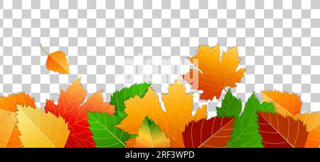 Bannière sur fond transparent, espace de copie. Ensemble de feuilles colorées. Concept automne, humeur automne. Éléments de design d'automne. Feuilles d'érable, feuilles de bouleau Illustration de Vecteur