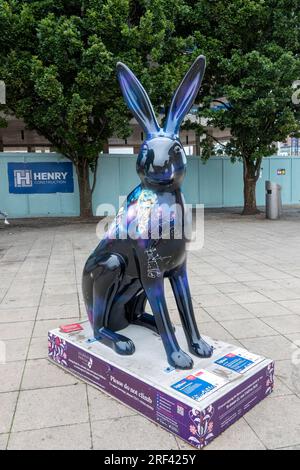 Hares of Hampshire Art Trail Southampton Angleterre 2022, The Murray Parish Trust et Wild in Art, Doctor Who Hare de Caroline Fairbairn Banque D'Images