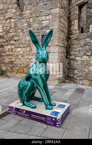 Hares of Hampshire Art Trail Southampton Angleterre 2022, le Murray Parish Trust et Wild in Art, combien de lapins à Rabbyte par Jason Curtis Banque D'Images