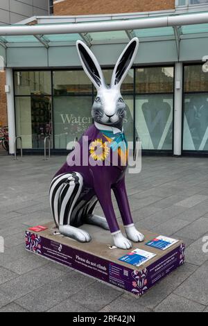 Hares of Hampshire Art Trail Southampton Angleterre juillet 2022, The Murray Parish Trust et Wild in Art, MR March par Illona Clark à l'extérieur de Westquay Banque D'Images