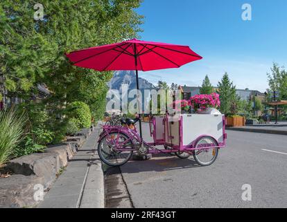 Chariots de glace à vélo roses garés sur l'avenue Banff dans le parc national Banff, Alberta, Canada Banque D'Images