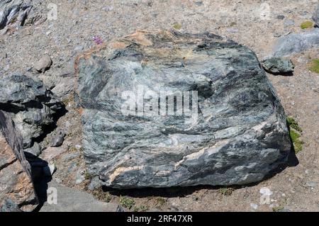 La serpentinite est une roche métamorphique formée par serpentinisation de roches mafiques ou ultramafiques. Cette photo a été prise en Corse, France. Banque D'Images