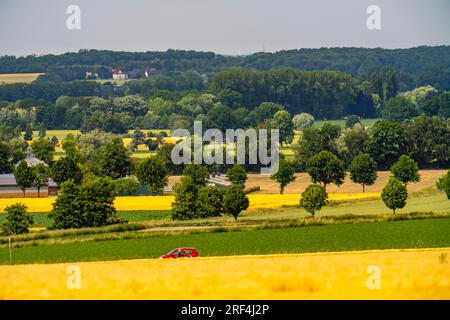 Bundesstraße 1, Werler Straße, champs, forêts et champs céréaliers à l'est d'Unna, près du village de Hemmerde, NRW, Allemagne, Banque D'Images