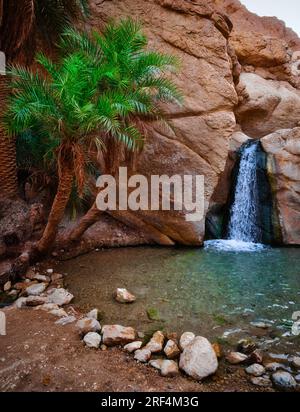 Petite cascade se jetant dans une piscine naturelle claire parmi les palmiers et les parois rocheuses du canyon dans l'oasis de Chebika, Tunisie. Paysage pittoresque d'oasis dans le désert Banque D'Images