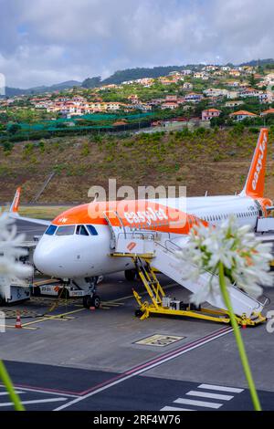 Voyage à l'aéroport, voyage aérien, Easyjet Airbus A320-251N prêt pour l'embarquement au tarmac, Aéroport de Madère, Portugal Banque D'Images