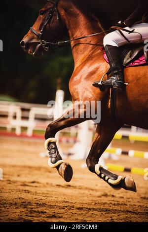 Un cheval de baie avec un cavalier en selle galope rapidement à travers l'arène avec des barrières. Sports équestres et équitation. Montrez les compétitions de saut. Banque D'Images