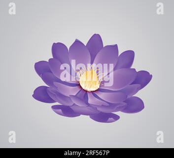 Floraison belle fleur d'aquarelle violette ou fleur de lotus isolée. Illustration de Vecteur