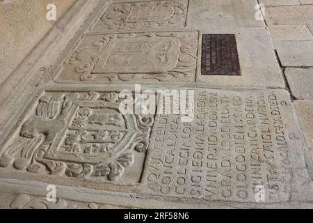 Pierres tombales au sol ou pierres de grand livre avec des armoiries cloîtres Saint-Jacques-de-Compostelle Basilique Saint-Jacques-de-Compostelle Galice Espagne Banque D'Images