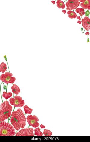 Carte de voeux verticale de fleur de coquelicot rouge et modèle de bannière, invitation, carte postale avec des fleurs de champ, bourgeon, graines. Illustration dessinée à la main isolée sur Banque D'Images