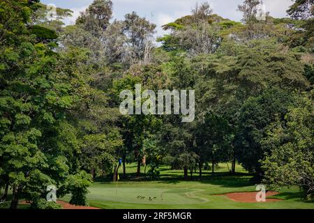 Windsor Golf Country Club Hôtel à Nairobi City County Kenya East Africa Landscapes Playground Golf Center Banque D'Images