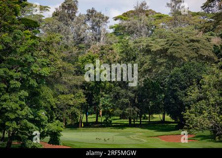 Windsor Golf Country Club Hôtel à Nairobi City County Kenya East Africa Landscapes Playground Golf Center Banque D'Images