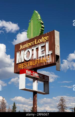 Le néon est tout ce qui reste du Juniper Lodge Motel le long de la US 97 près de la ville de Macdoel, en Californie. Le motel abandonné a brûlé pendant le T Banque D'Images