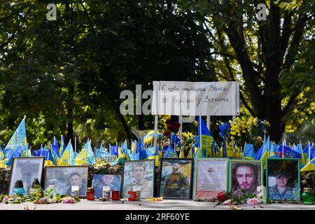 Zaporizhzhia, Ukraine. 31 juillet 2023. Des fleurs séchées sont vues à côté des portraits des soldats et des drapeaux ukrainiens dans un mémorial dédié aux soldats tombés au combat des forces armées ukrainiennes à Zaporizhjhia. Les forces ukrainiennes sont confrontées à des défis importants dans leur poussée vers le sud, avec des avancées modestes et des défenses russes féroces, ce qui rend trop tôt pour revendiquer un succès substantiel, mais les troupes sont très motivées. Crédit : SOPA Images Limited/Alamy Live News Banque D'Images