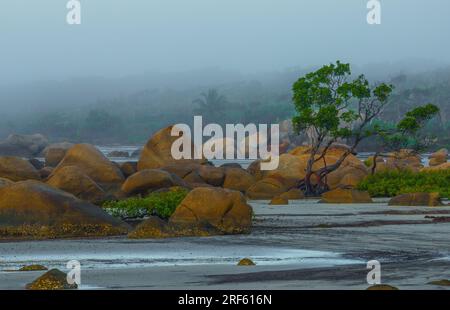 Claudie Beach/Sunrise - Lockhart RV., Cape York, Queensland Banque D'Images