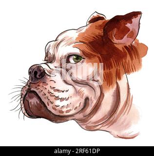 Tête de Bull dog. Encre dessinée à la main et aquarelle sur croquis en papier Banque D'Images