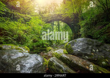 Vieux pont sur la rivière Sesn dans le parc naturel Fragas do Eume à Corua, Galice, Espagne avec une végétation exubérante Banque D'Images