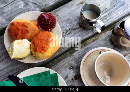 Thé à la crème de Cornouailles dans le café du jardin, spécialité, repas typique de l'après-midi, scones, crème coagulée, Confiture de fraises, thé au lait, Cornouailles, Sud Banque D'Images