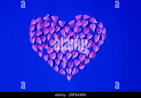 Coeur de beaucoup de petits coeurs, coeur déchirant, coeur déchirant, coeur saignant (Dicentra), coeur saignant, Faux cœur, cœur enflammé, cœur volant Banque D'Images