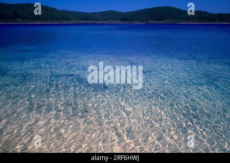 Lac Birrabeen, Fraser Island, Queensland, Australie Banque D'Images