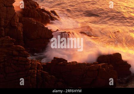 Les Pinnacles, Cape Woolamai, Phillip Island (Victoria), les Pinnacles, Australie Banque D'Images