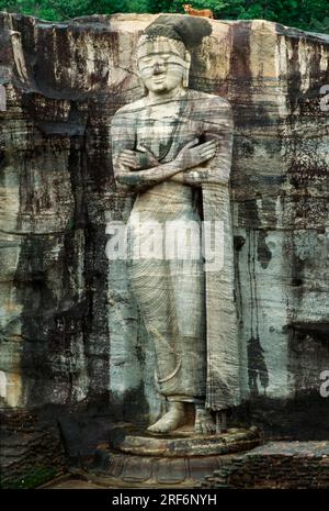 Statue, gal Vihara, Polonnaruwa, Sri Lanka Banque D'Images