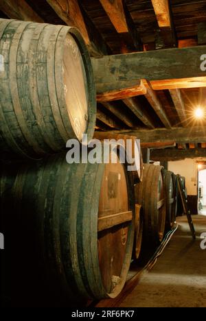 Vin de Madère, tonneaux de vin dans la cave à vin, Funchal, Madère, Portugal Banque D'Images