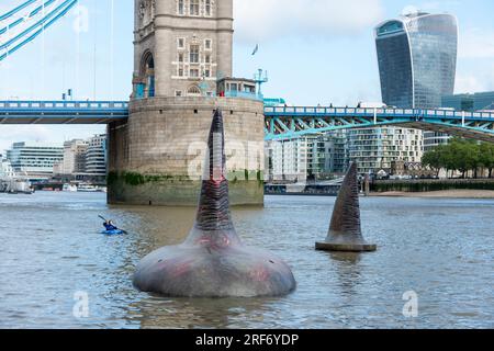Londres, Royaume-Uni. 1 août 2023. Un kayakiste passe devant deux des trois ailerons géants de requin Megalodon qui semblent s'élever à la surface de la Tamise près de Tower Bridge pour promouvoir la sortie britannique, le 4 août, du Warner Bros. Film d'images 'Meg 2 : The Trench', avec Jason Statham. Selon le Muséum d'histoire naturelle, l'espèce préhistorique connue sous le nom d'Otodus megalodon était le plus grand requin du monde, et l'un des plus grands poissons jamais existants. Crédit : Stephen Chung / Alamy Live News Banque D'Images