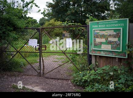 Une vue des allotments de Park Road à Isleworth, dans l'ouest de Londres, comme une enquête publique a commencé à Hounslow House, dans le Middlesex, sur une demande du duc de Northumberland de transformer les lotissements en appartements. L'enquête a lieu après que le comité de planification du Conseil Hounslow ait rejeté les plans de construction de 80 appartements sur les lotissements de Park Road en octobre 2021. Date de la photo : mardi 1 août 2023. Banque D'Images
