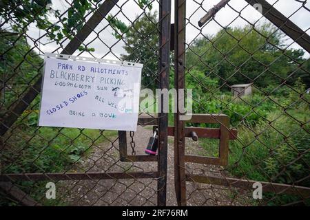 Une vue des allotments de Park Road à Isleworth, dans l'ouest de Londres, comme une enquête publique a commencé à Hounslow House, dans le Middlesex, sur une demande du duc de Northumberland de transformer les lotissements en appartements. L'enquête a lieu après que le comité de planification du Conseil Hounslow ait rejeté les plans de construction de 80 appartements sur les lotissements de Park Road en octobre 2021. Date de la photo : mardi 1 août 2023. Banque D'Images