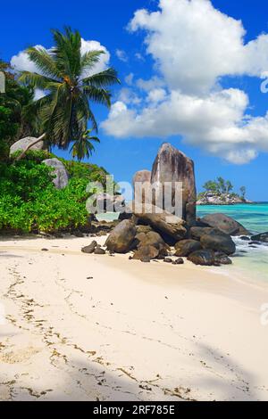 Ostafrika, Kokospalmen und Granitfelsen am Traumstrand Anse Royal, Insel Mahe, Seychelles Banque D'Images