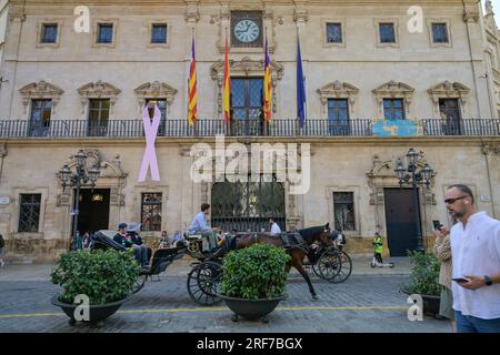 Rathaus Ajuntament de Palma, Placa de Cort, Palma, Majorque, Espagnol Banque D'Images