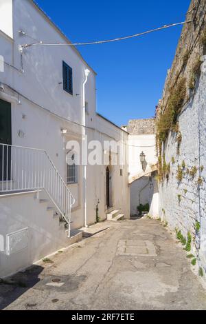 Aperçu de la ville blanche d'Ostuni, Pouilles, Italie, Europe Banque D'Images